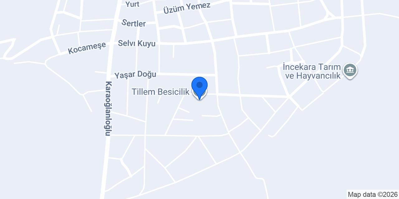 Tillem Besicilik konumu
