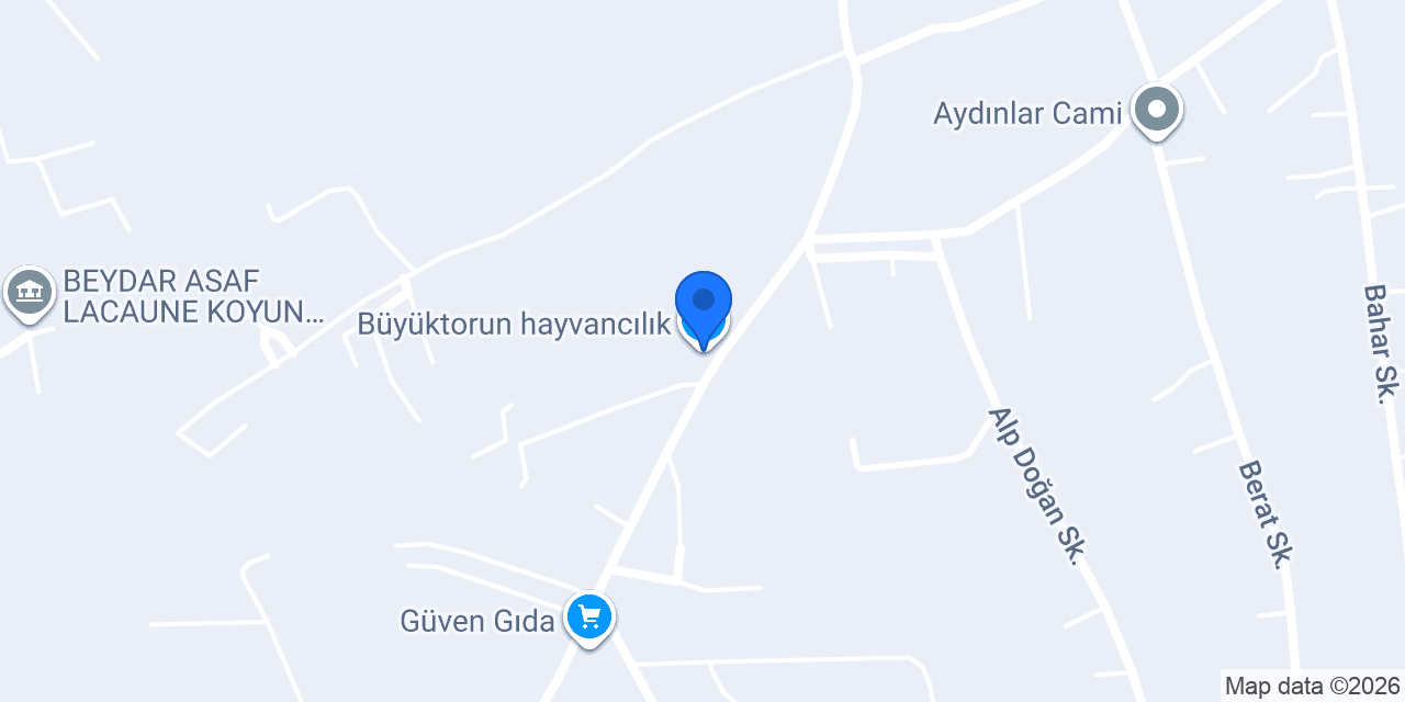 Büyüktorun hayvancılık konumu