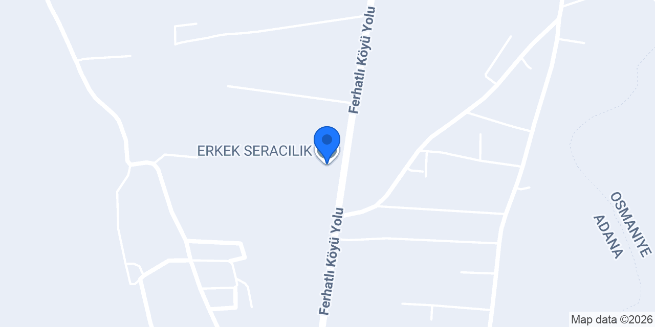 ERKEK SERACILIK konumu