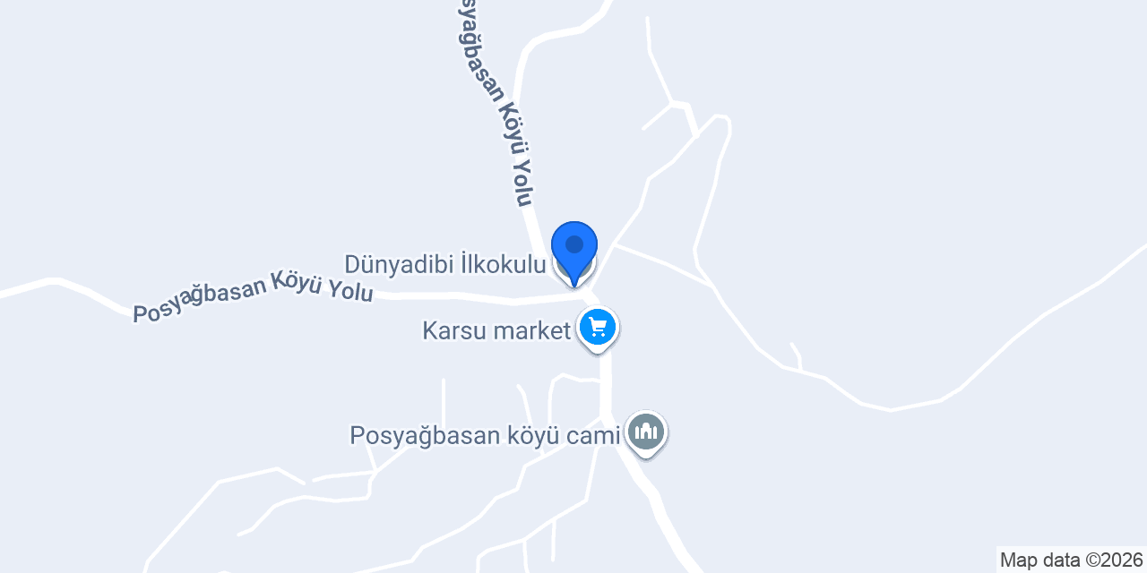 Dünyadibi İlkokulu konumu