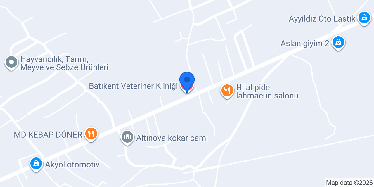 Batıkent Veteriner Kliniği konumu
