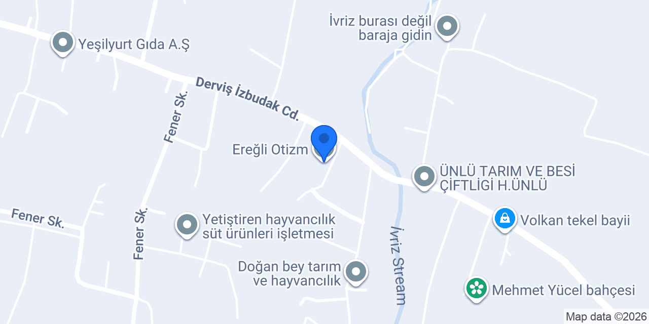 Ereğli Otizm konumu