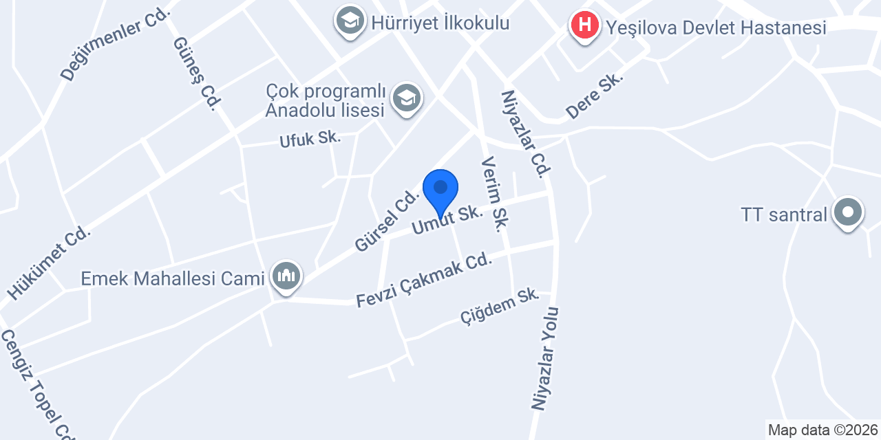Çınar döner konumu