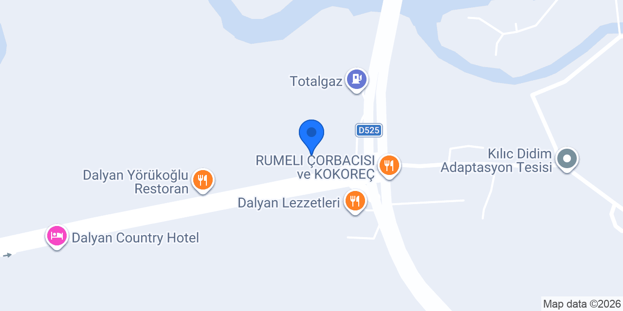 Asil Oto Lastik konumu