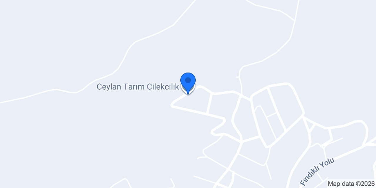 Ceylan Tarım Çilekcilik konumu