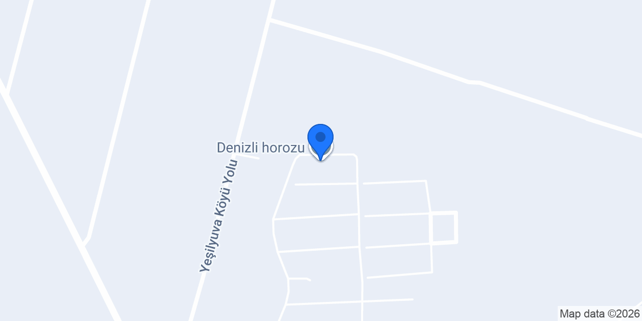 Denizli horozu konumu