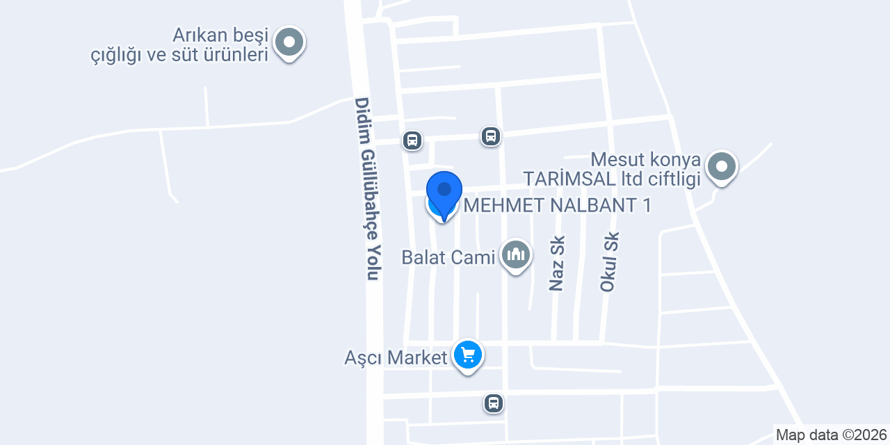 MEHMET NALBANT 1 konumu