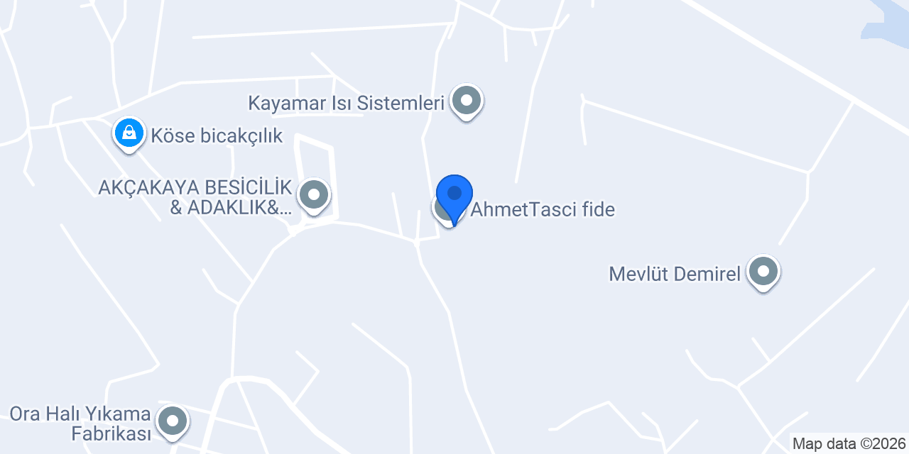 AhmetTasci fide konumu
