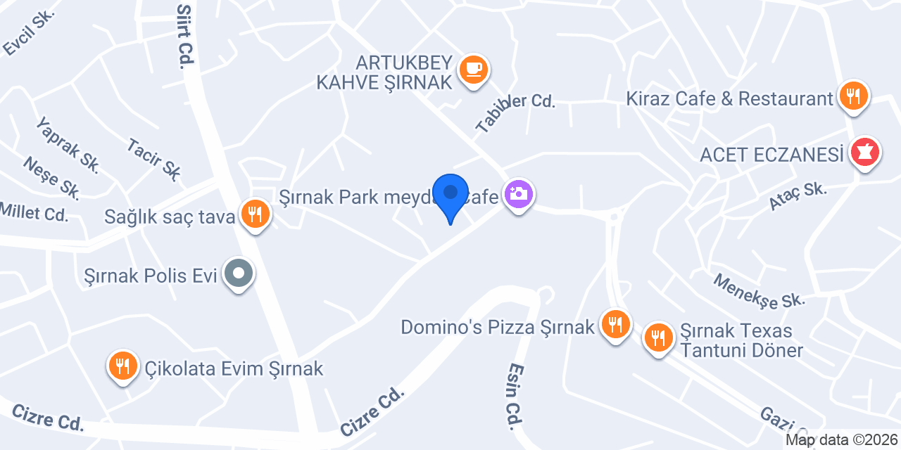 Yedam Şırnak konumu