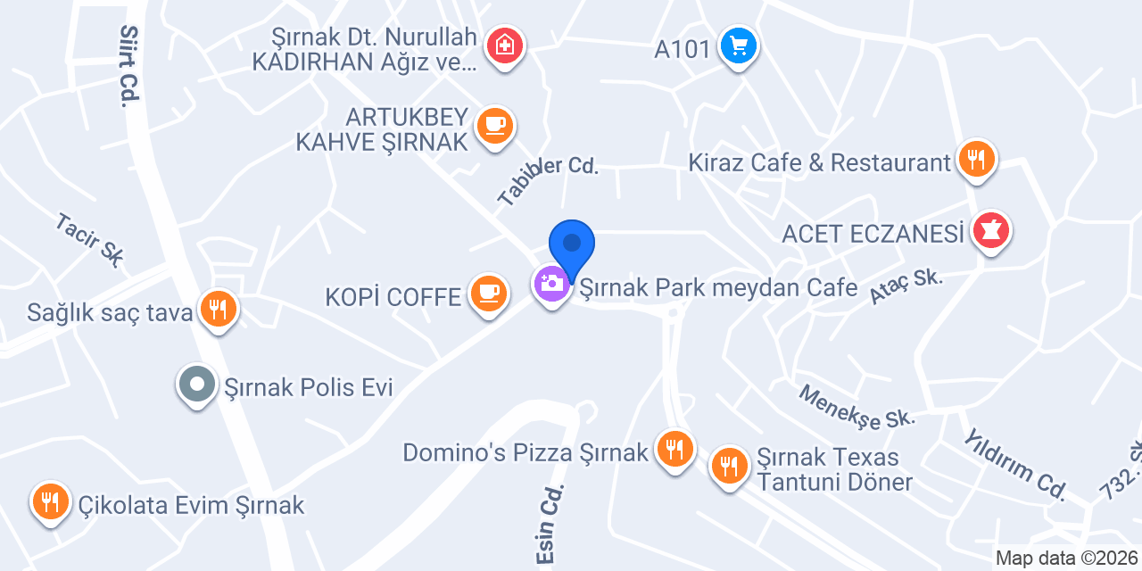 Parkmeydan Ciğerci Ahmet Usta konumu