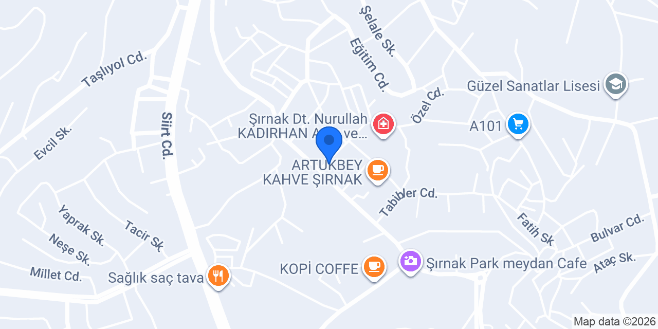 Selya İnşaat konumu