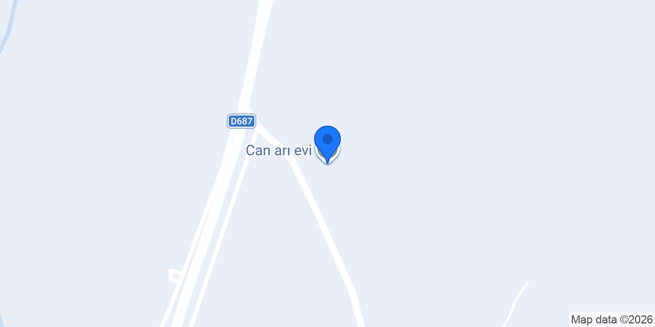 Can arı evi konumu