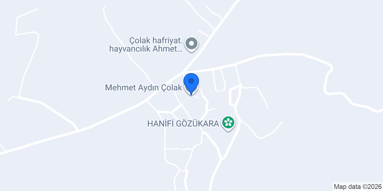 Mehmet Aydın Çolak konumu