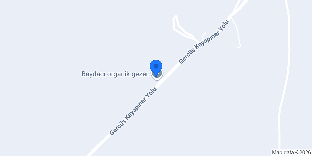 Baydacı organik ve gezen tavuk yumurtası konumu