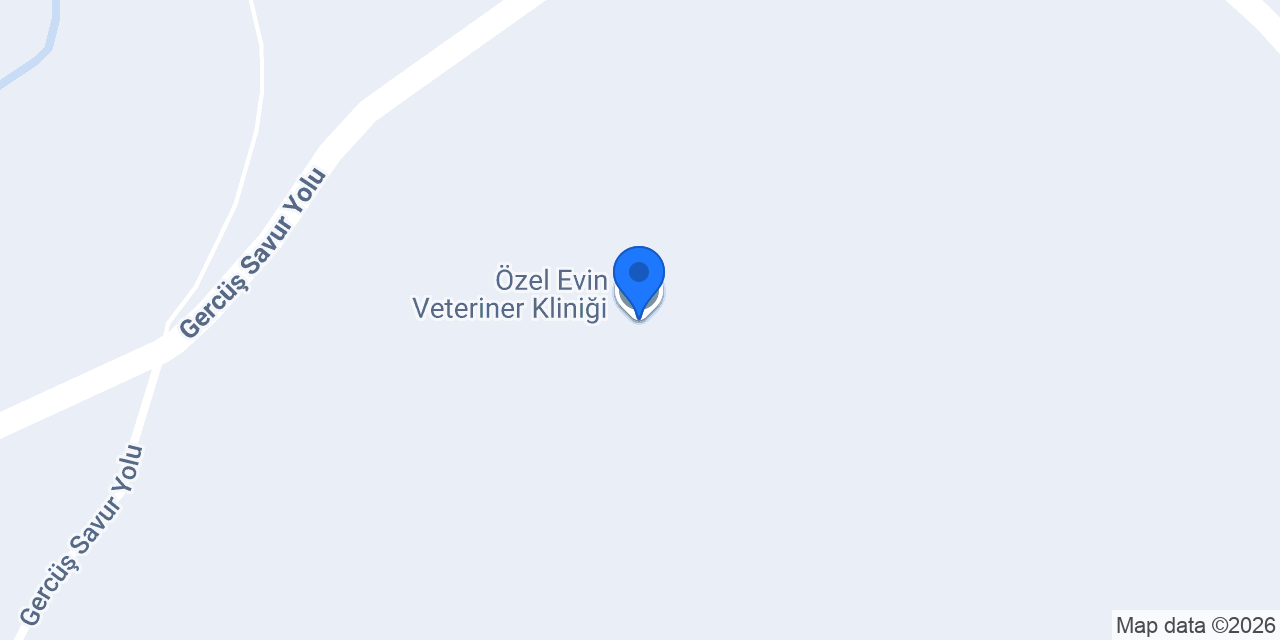 Özel Evin Veteriner Kliniği konumu