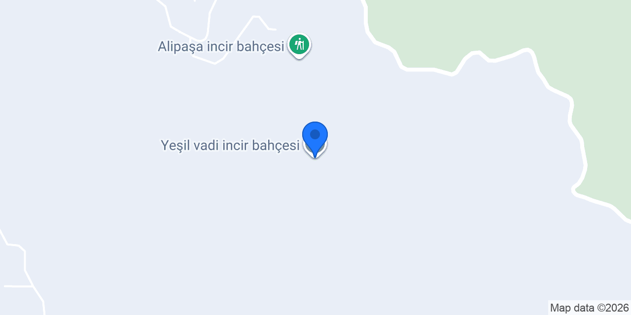 Yeşil vadi incir bahçesi konumu