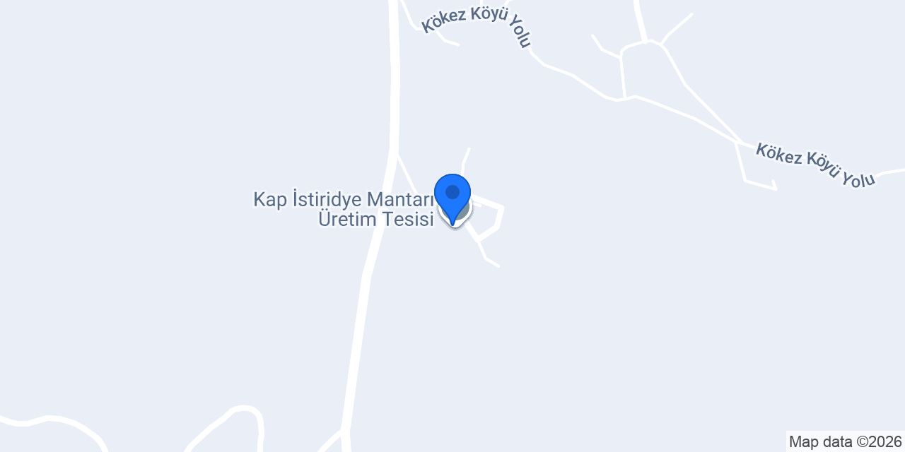 Kapmantar konumu
