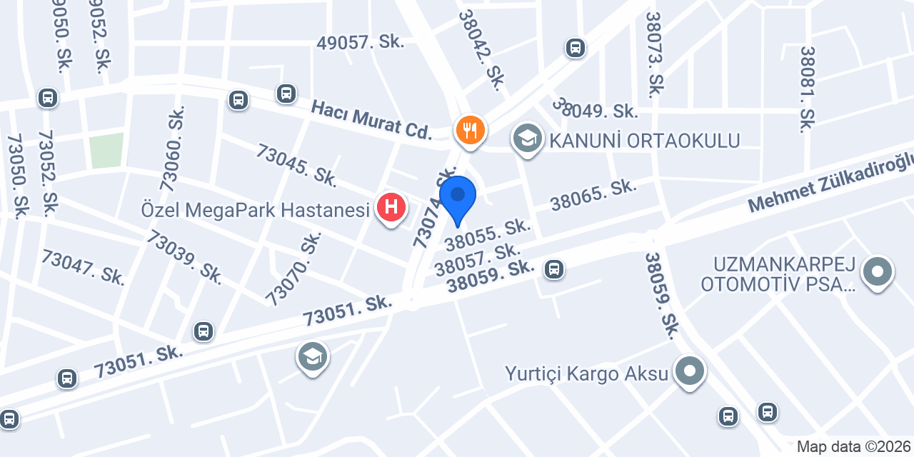 Vizyon rent a car konumu