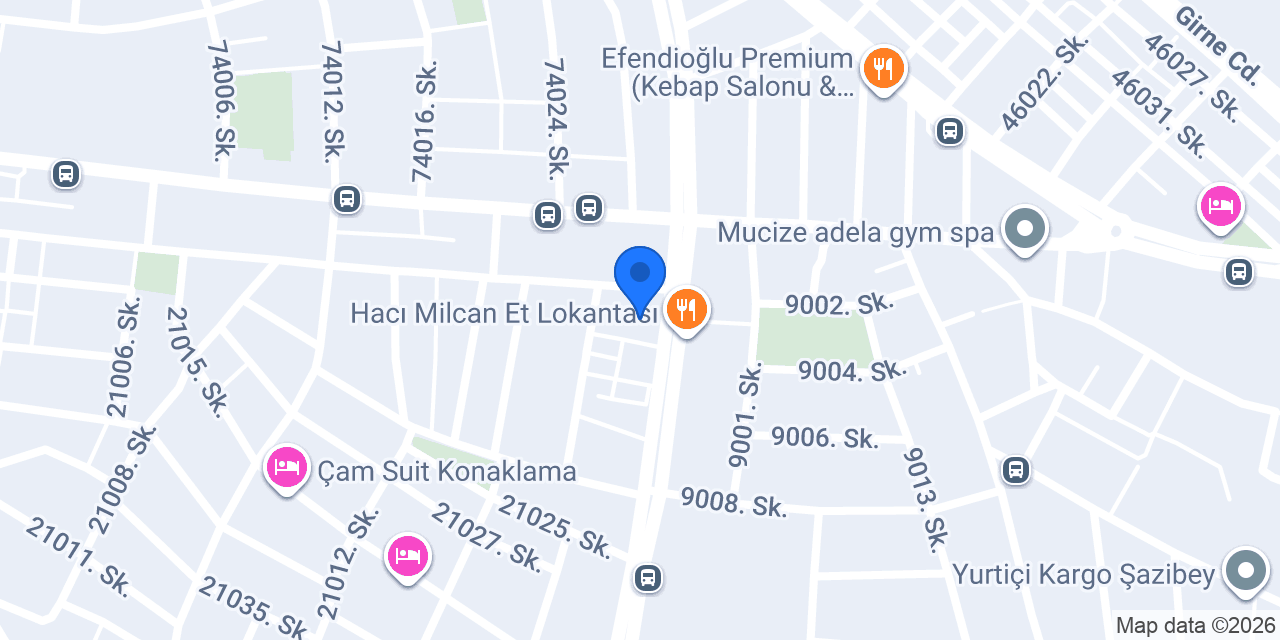 Ses Elektrik konumu