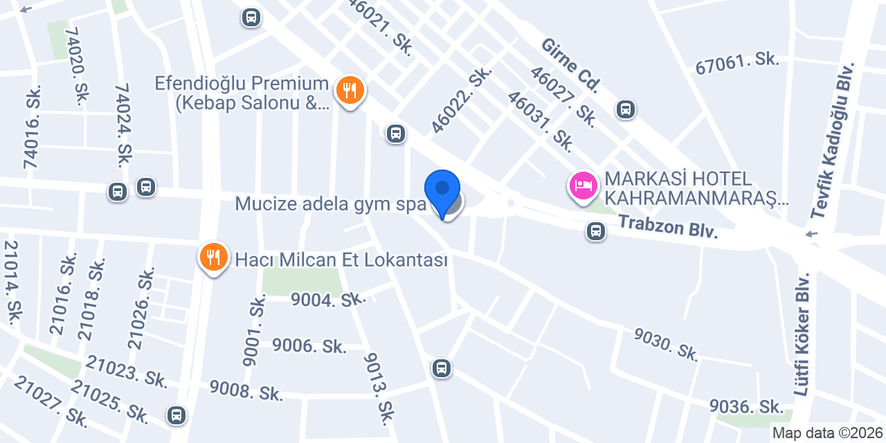 ADELA GYM SPA WELLNESS konumu