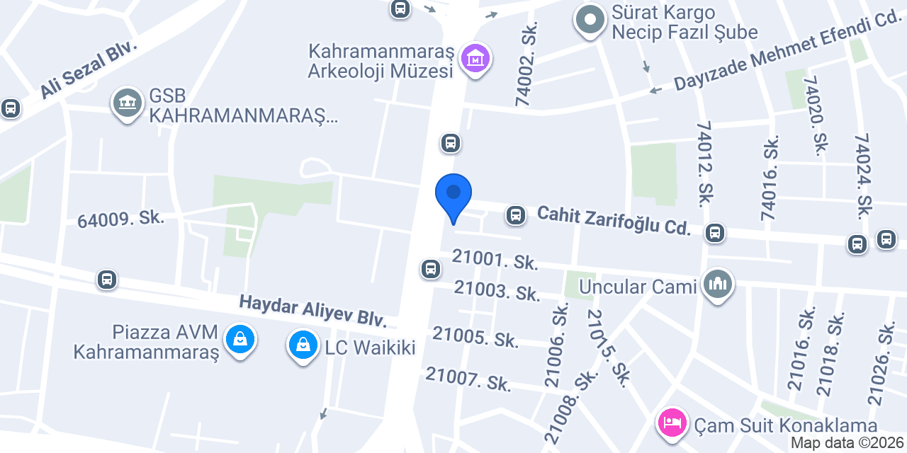 Dt. Mustafa Çiriş, Diş Hekimi konumu
