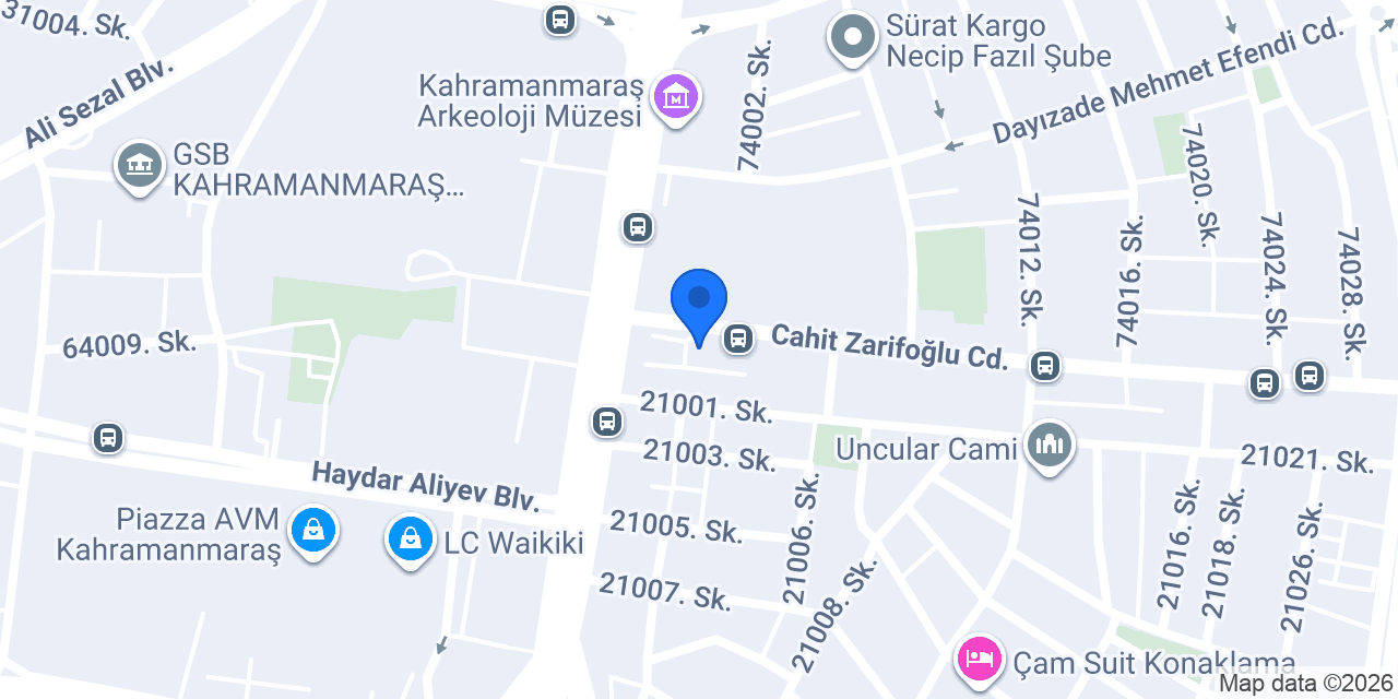 Serbest Muhasebeci Mali Müşavir Aslı Bilginsoy Özçil konumu