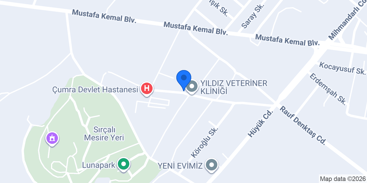 Aster Psikoloji konumu