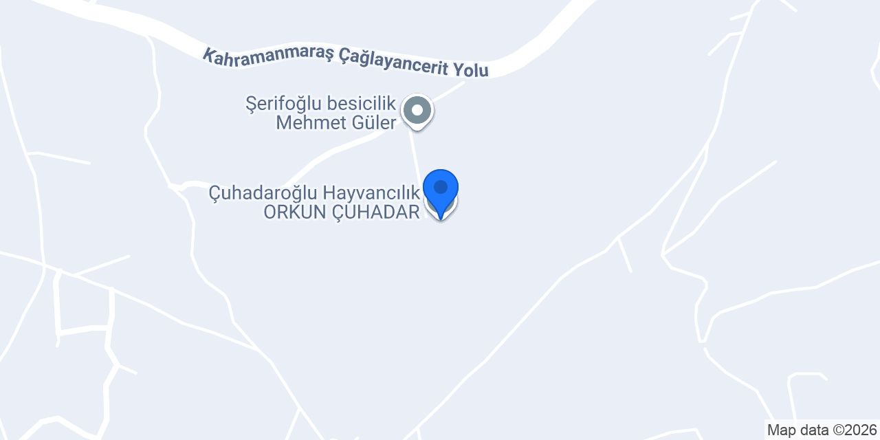 Çuhadaroğlu Hayvancılık ORKUN ÇUHADAR konumu