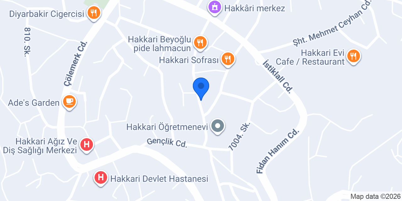 Yetkili Servis konumu