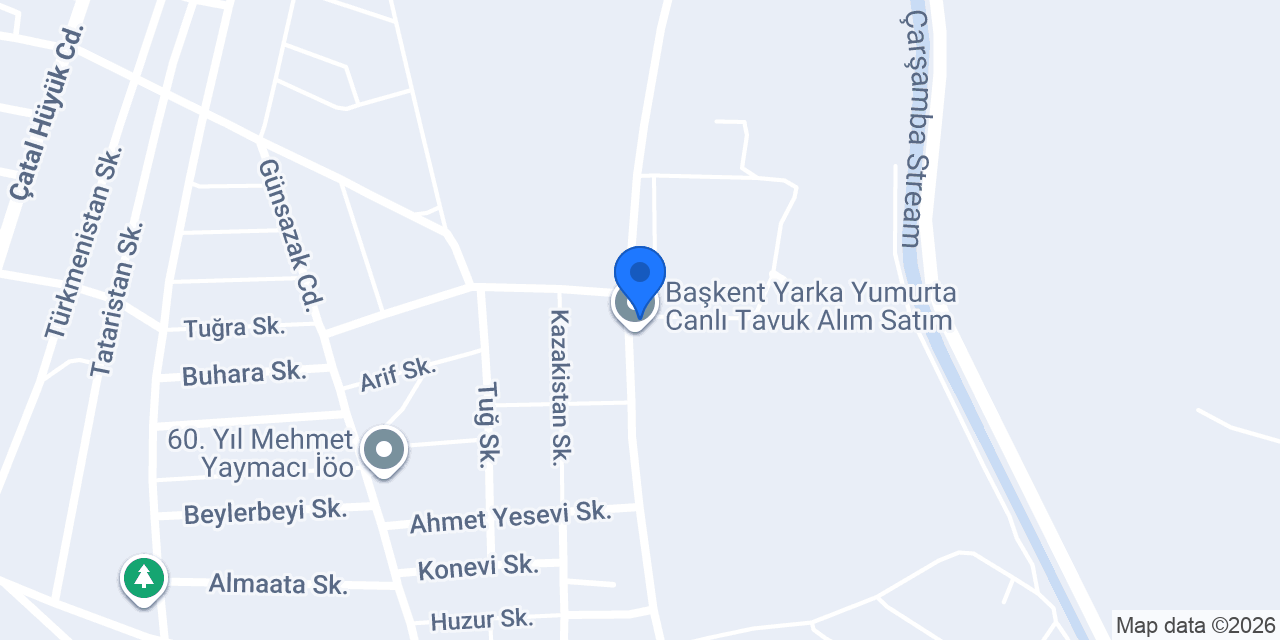 Başkent Yarka, Başkent Group konumu