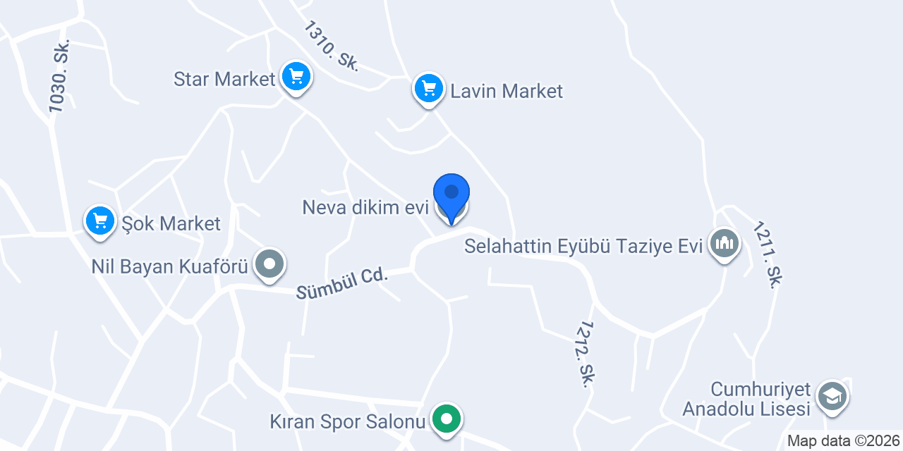 Neva dikim evi konumu