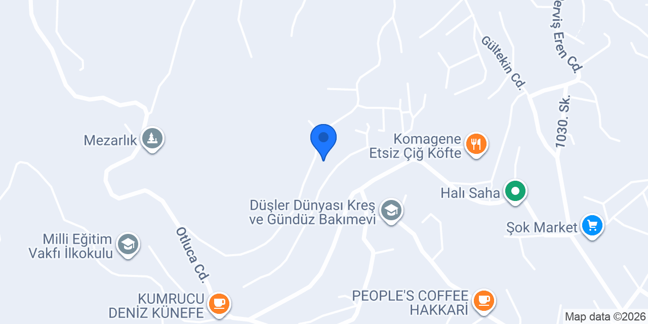 Hakkari Mersin Yaprak Tantuni konumu