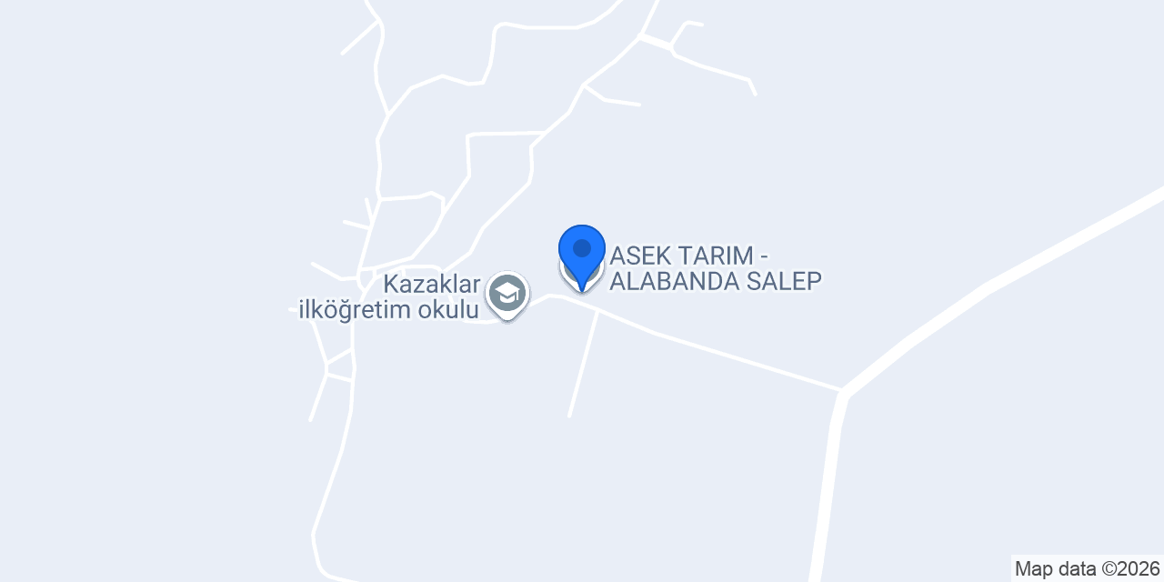 ASEK TARIM - ALABANDA SALEP konumu