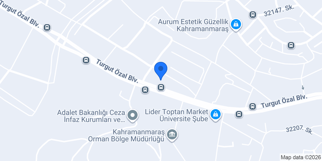 ELİZAN ÇİÇEK konumu