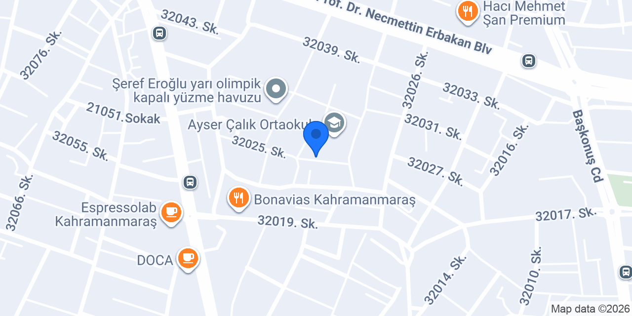 ŞEHİT TEBERNUŞ ÖZLER ORTAOKULU konumu