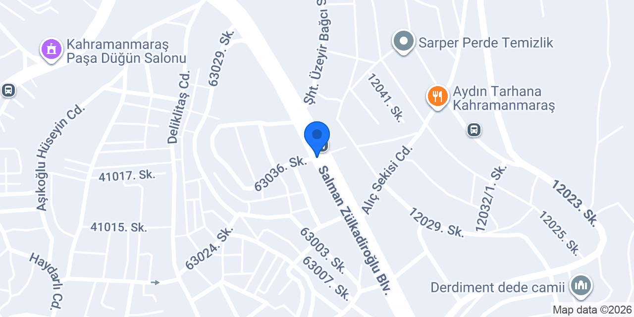 Ziya auto emlak konumu