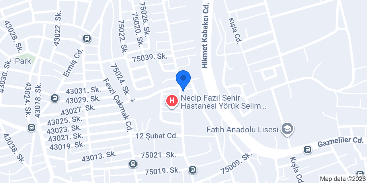 Kahramanmaraş İl Sağlık Müdürlüğü konumu