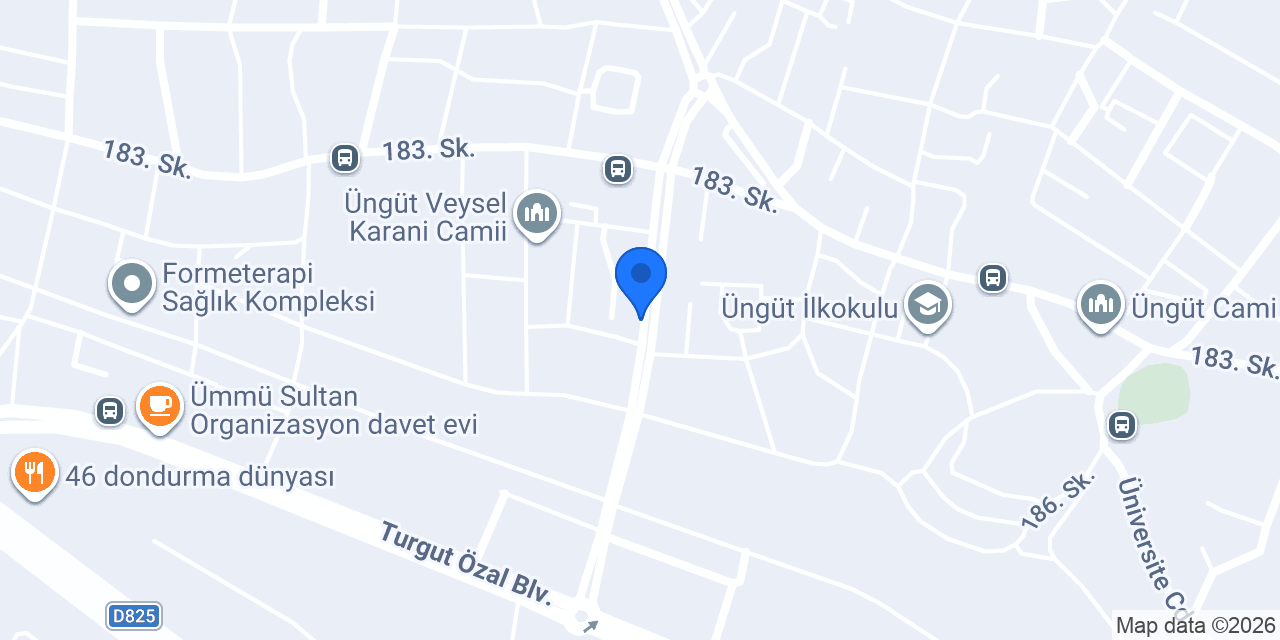 Vip Transfer 46 konumu