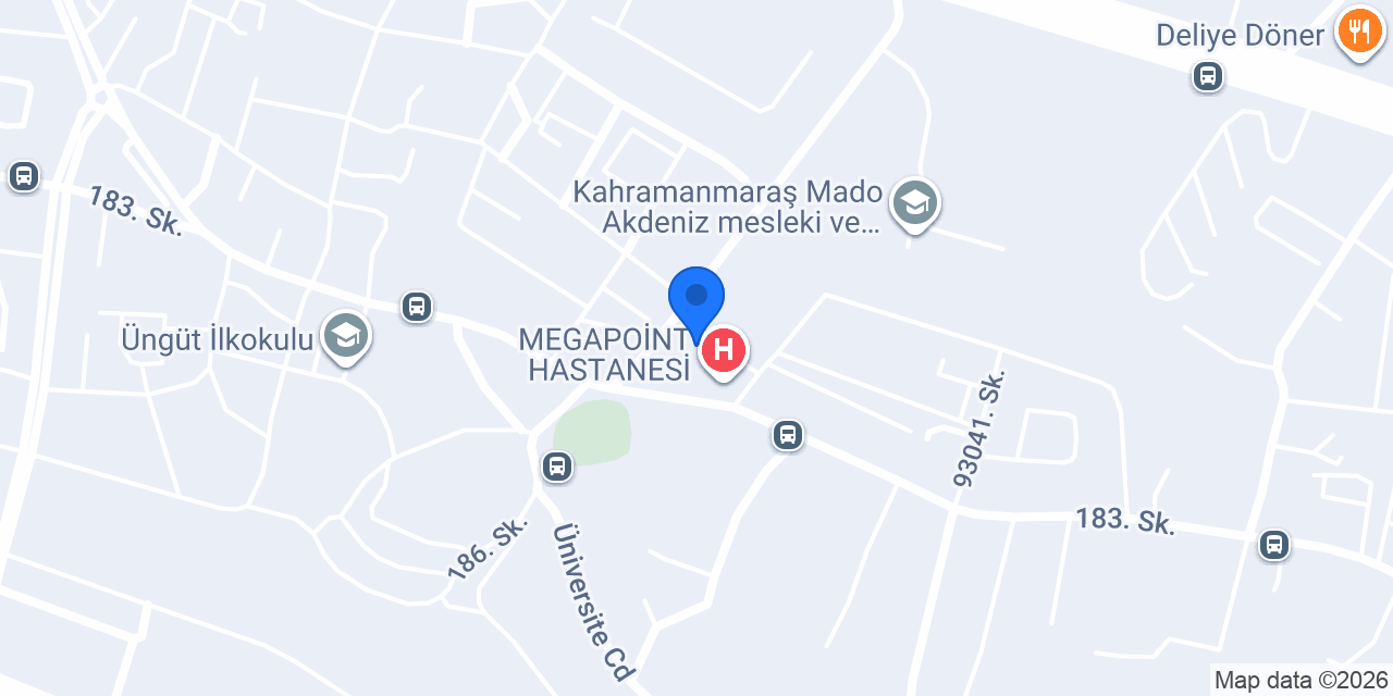Özel Yeni Rekor Okulları konumu