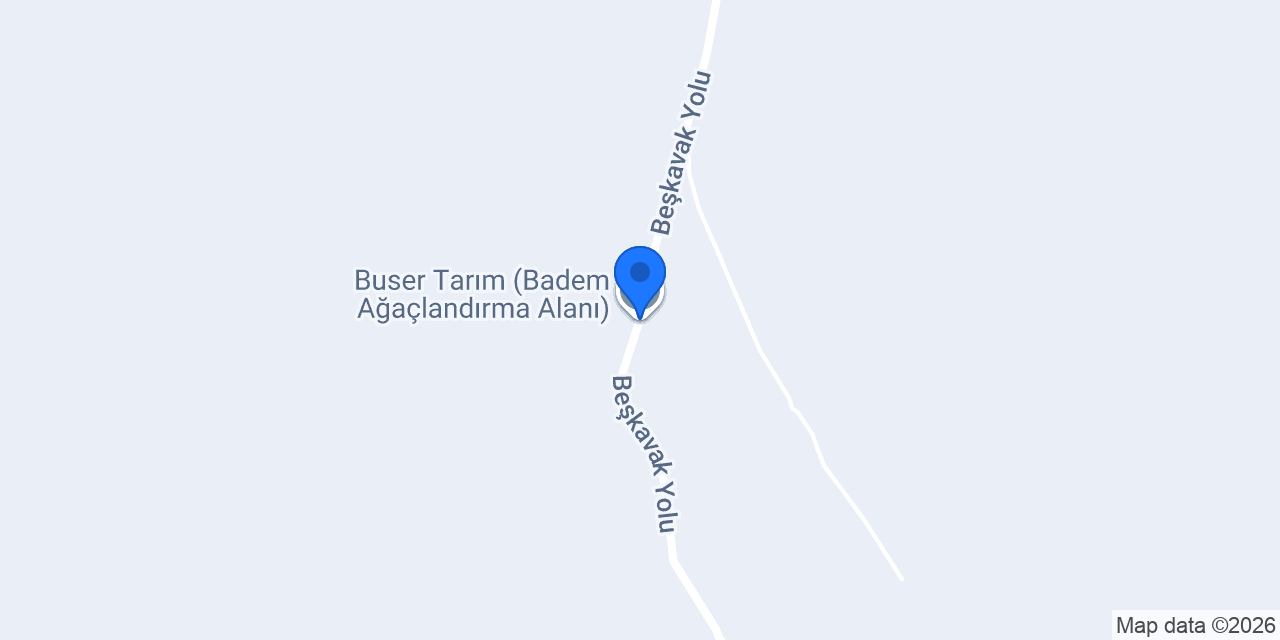 Buser Tarım (Badem Ağaçlandırma Alanı) konumu