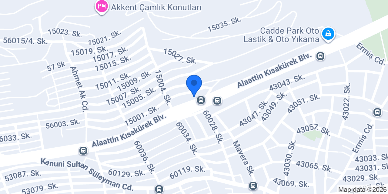 Nisa halı yıkama konumu