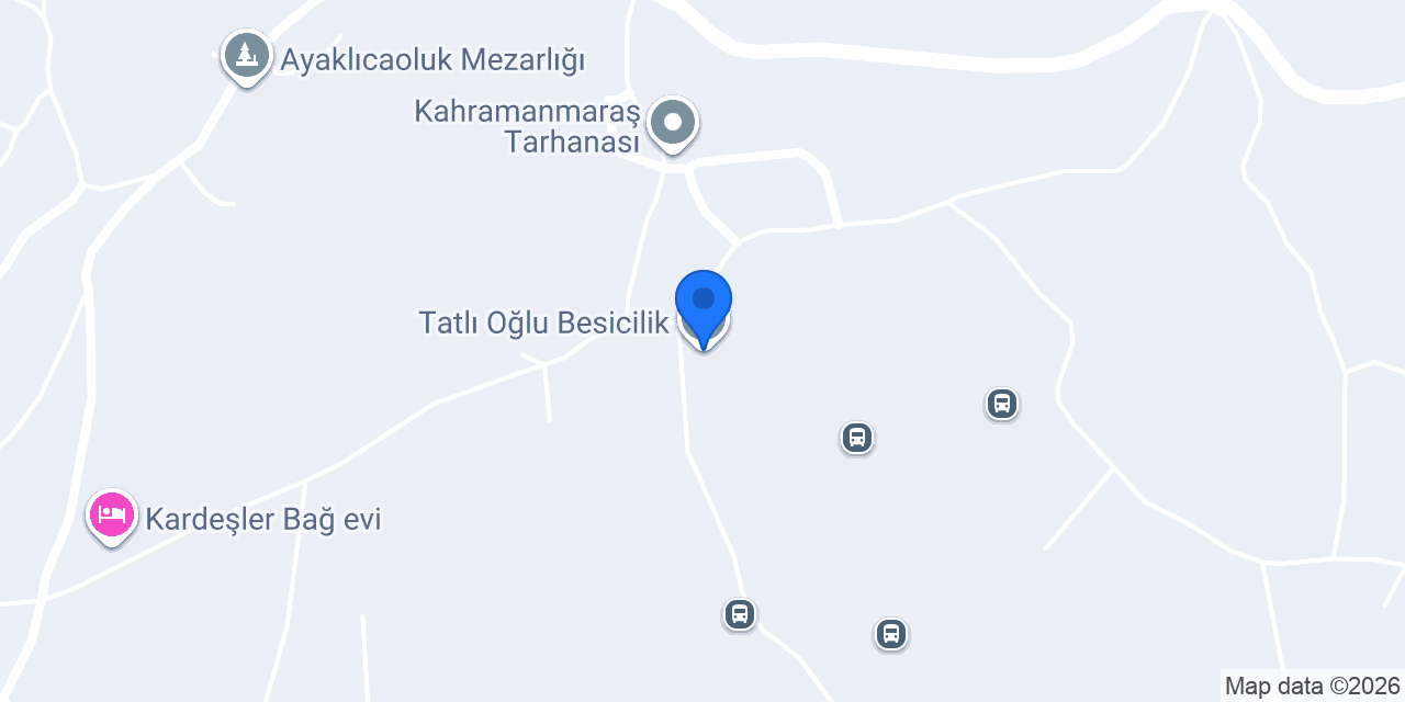 Tatlı Oğlu Besicilik konumu