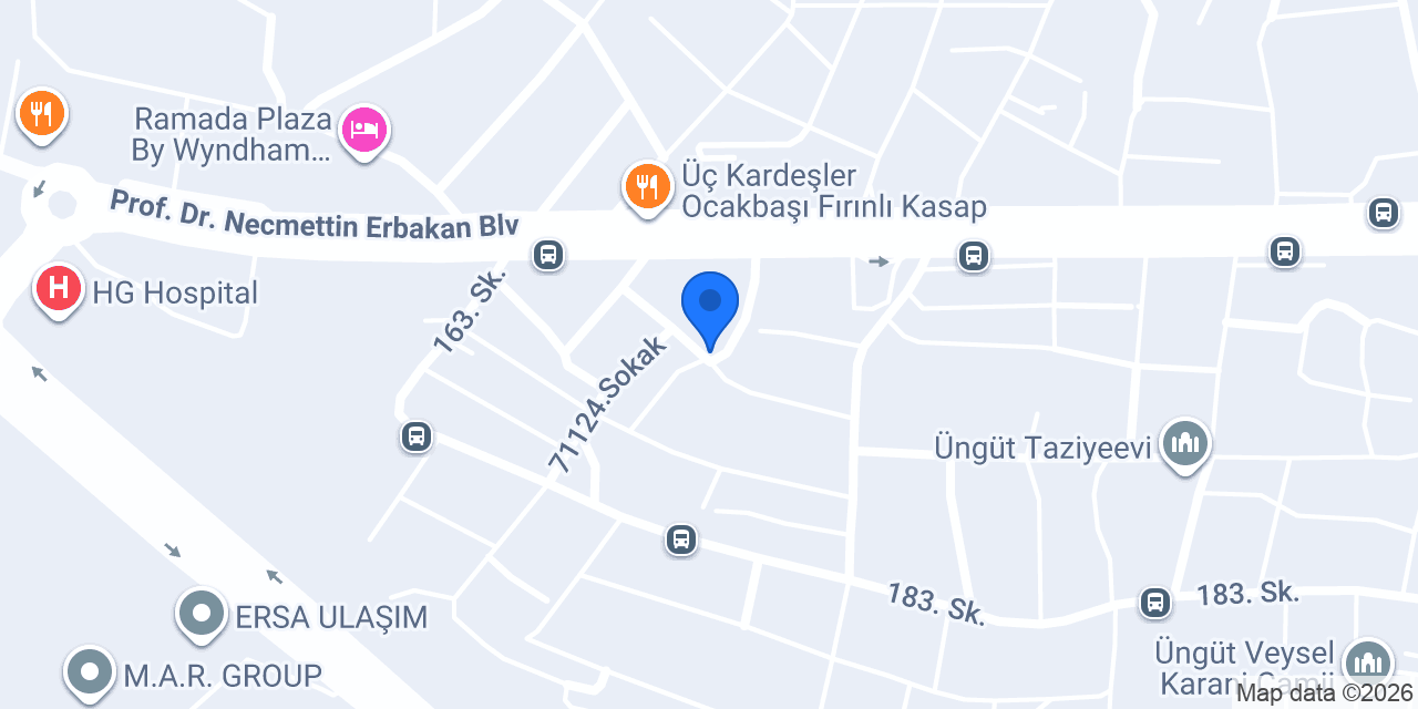 Saray elektronik konumu