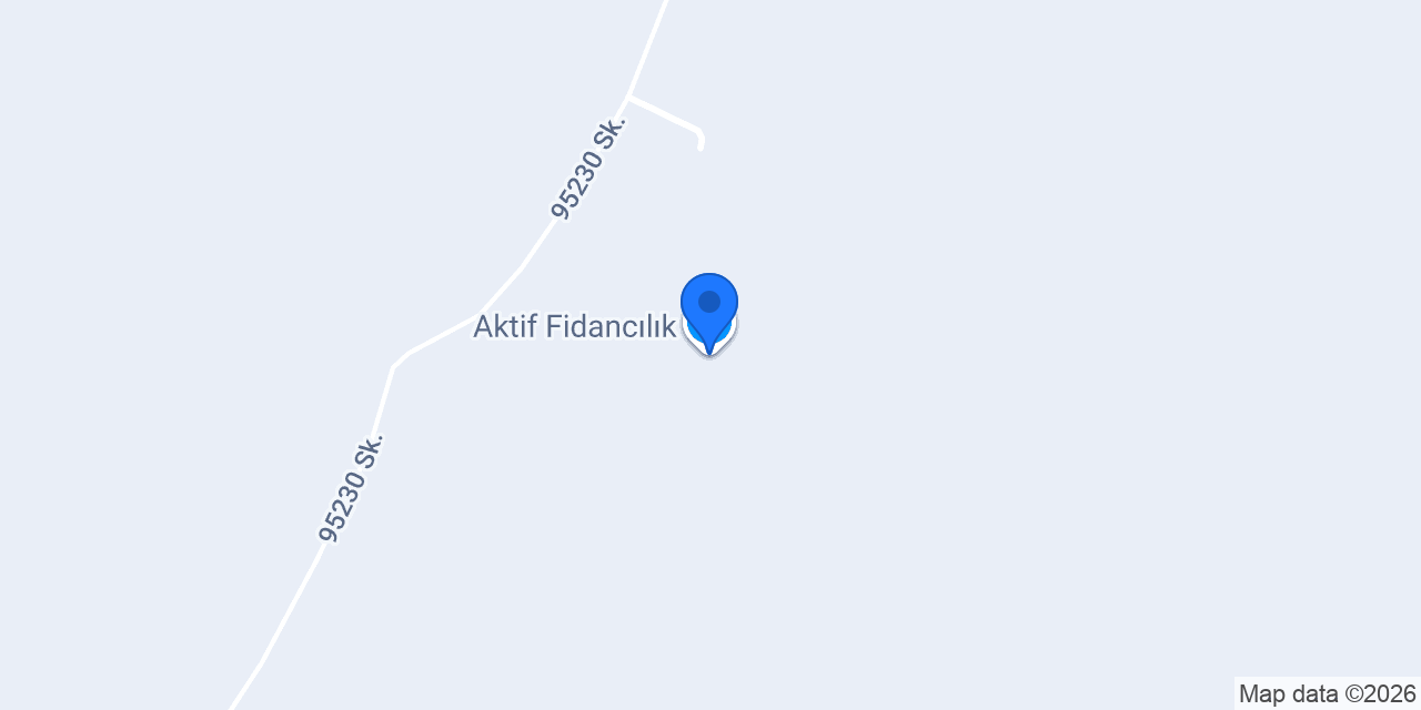 Aktif Fidancılık konumu