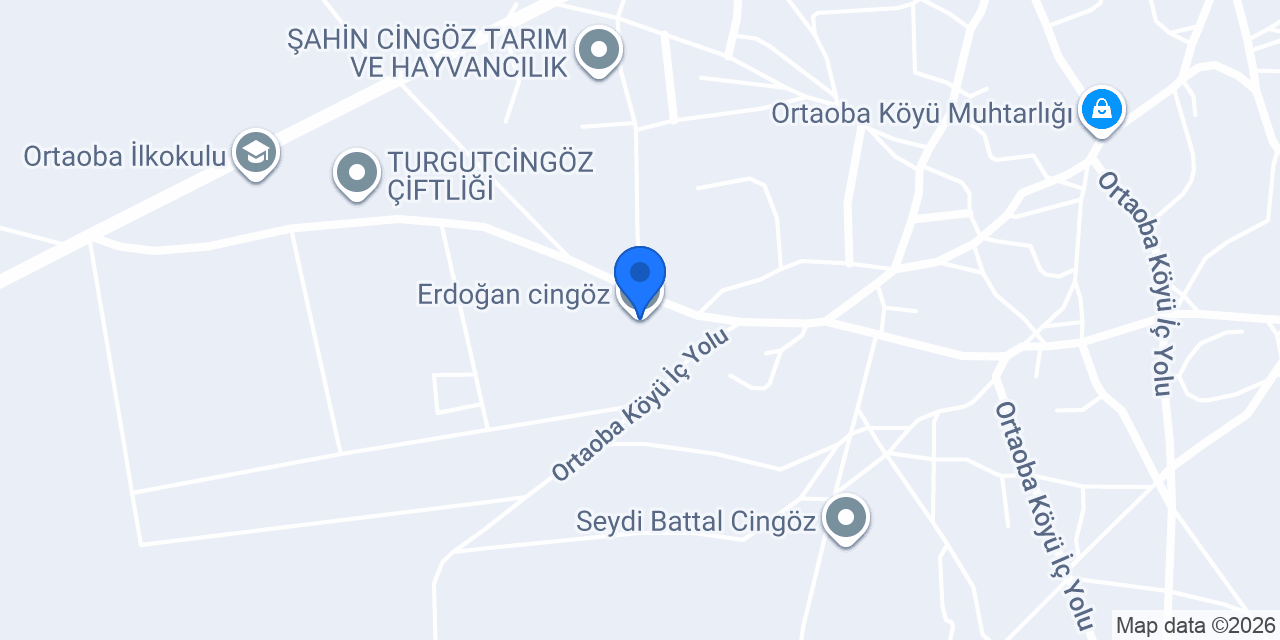 Erdoğan cingöz konumu
