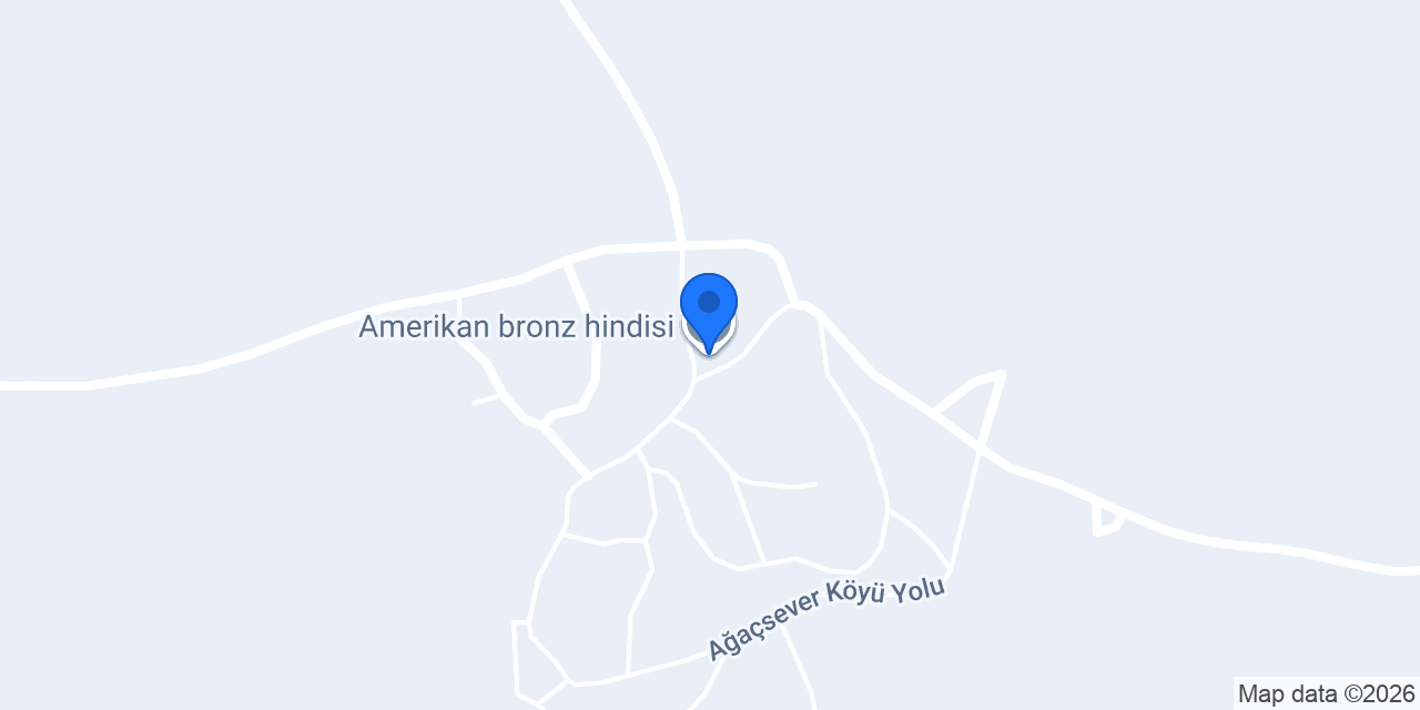 Ağaçsever Köyü İlköğretim Okulu konumu