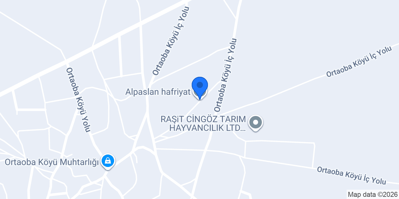 Alpaslan hafriyat konumu