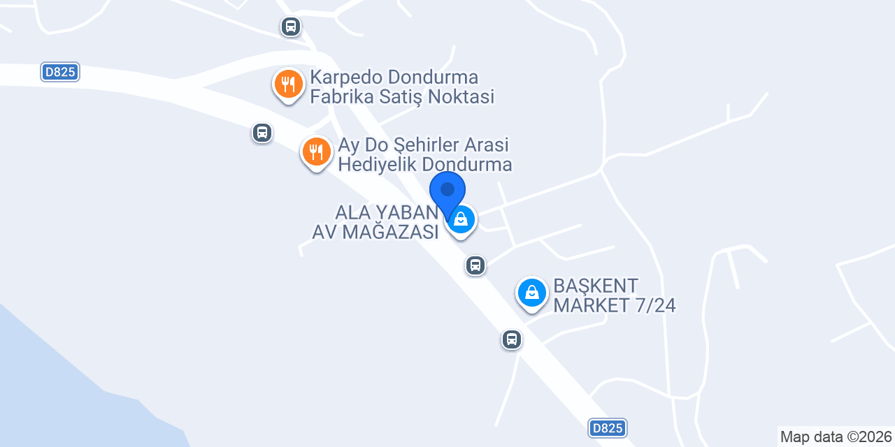 Aslan Market konumu