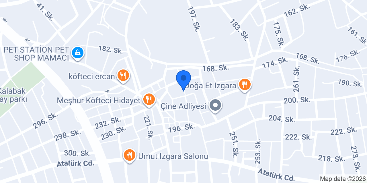 EA Egemen Aldemir konumu