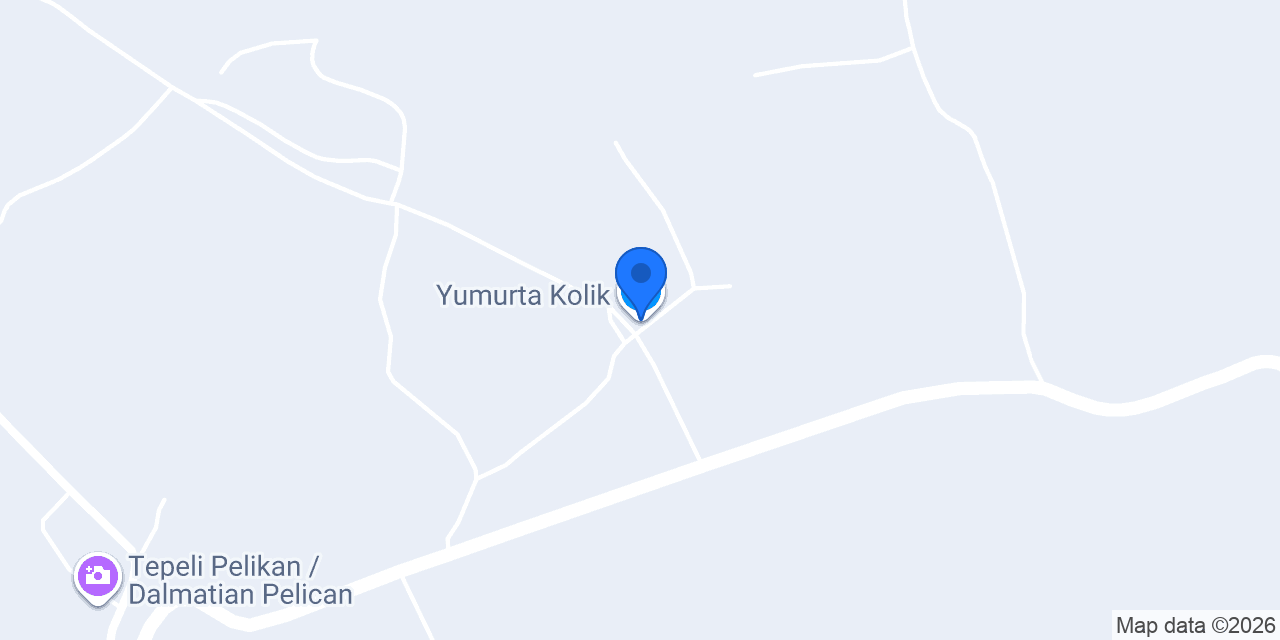 Yumurta Kolik konumu